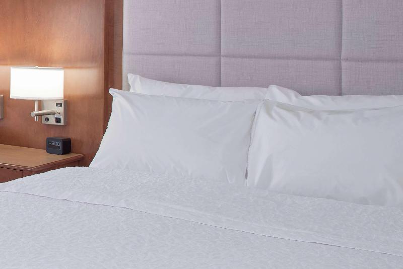 キングサイズベッドのスタンダードルーム, Hampton Inn & Suites Columbus Scioto Downs