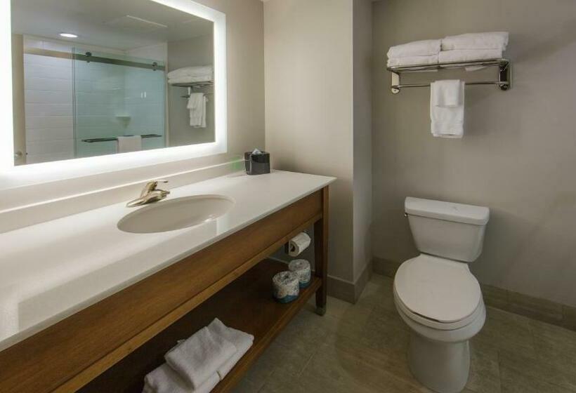 מיטת קינג בסוויטה, Holiday Inn Express Gatlinburg Downtown, An Ihg