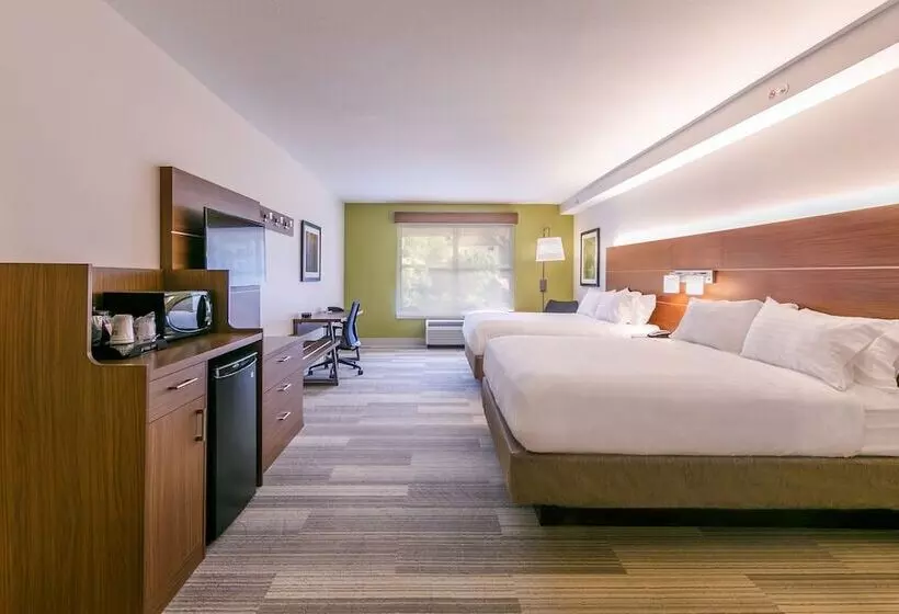 スイート, Holiday Inn Express Gatlinburg Downtown, An Ihg