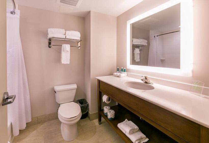 סוויטה, Holiday Inn Express Gatlinburg Downtown, An Ihg