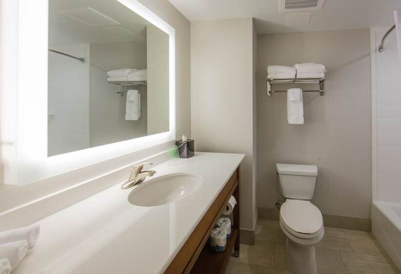 סוויטה מותאמת לאדם עם מוגבלויות, Holiday Inn Express Gatlinburg Downtown, An Ihg