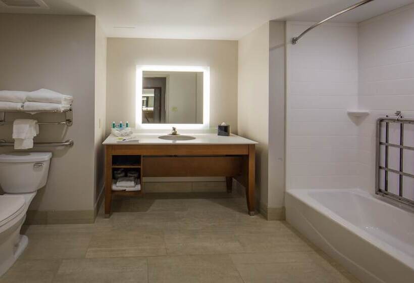 סוויטה מותאמת לאדם עם מוגבלויות, Holiday Inn Express Gatlinburg Downtown, An Ihg