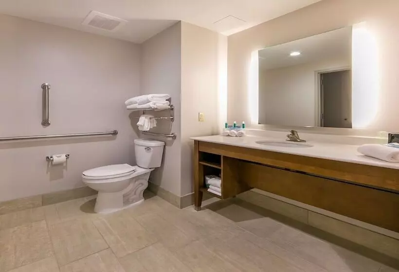 身障者適用スイートルーム, Holiday Inn Express Gatlinburg Downtown, An Ihg