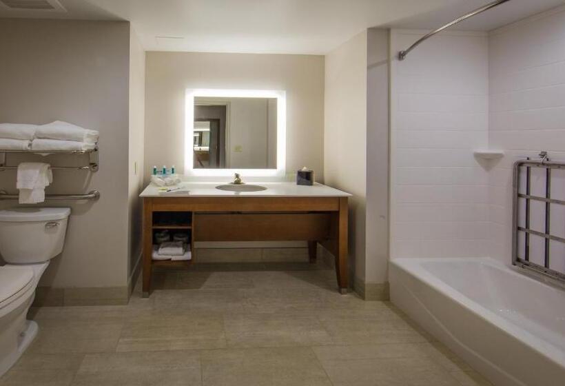 חדר סטנדרט, מיטת קינג, מותאם לאדם עם מוגבלויות, Holiday Inn Express Gatlinburg Downtown, An Ihg