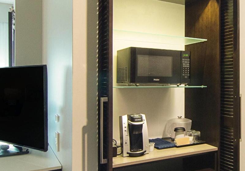 带大床的套房, Springhill Suites By Marriott Fort Worth Fossil Creek