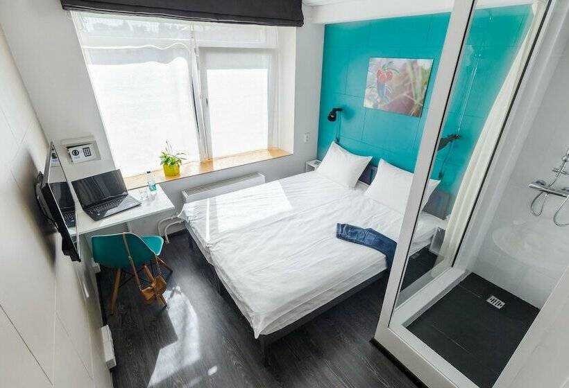 スタンダードルーム, Live