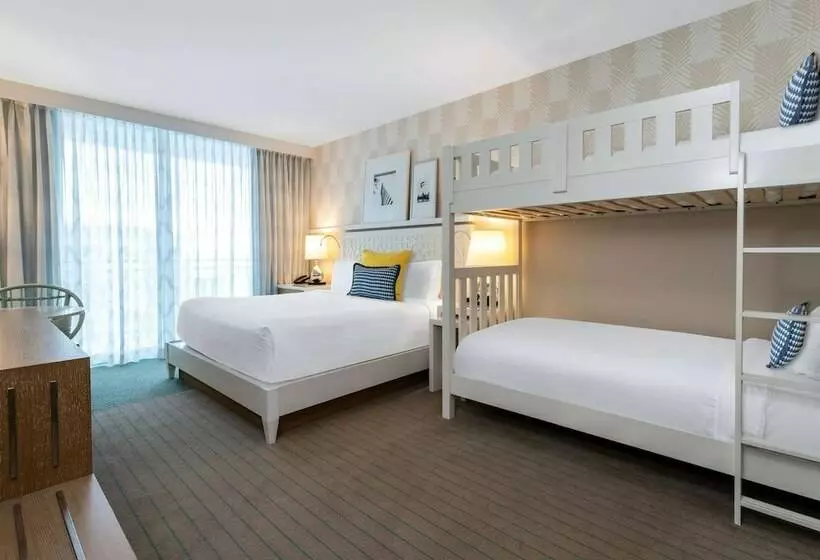 ２段ベッド付きスタンダードルーム, Wyndham Grand Clearwater Beach