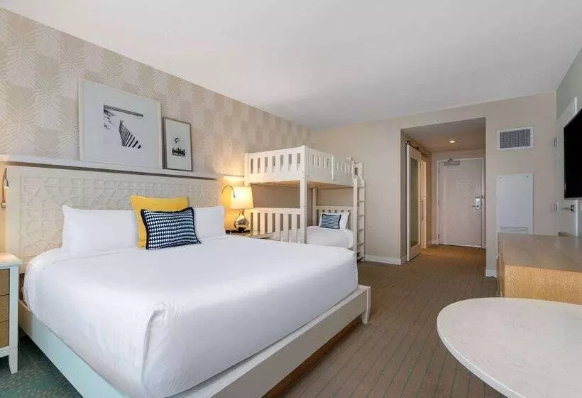 ２段ベッド付きスタンダードルーム, Wyndham Grand Clearwater Beach