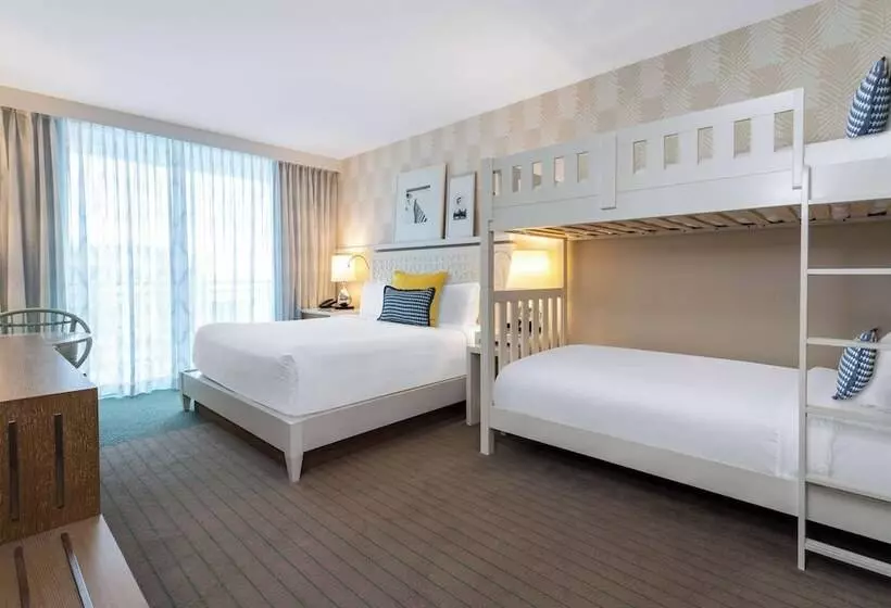２段ベッド付きスタンダードルーム, Wyndham Grand Clearwater Beach