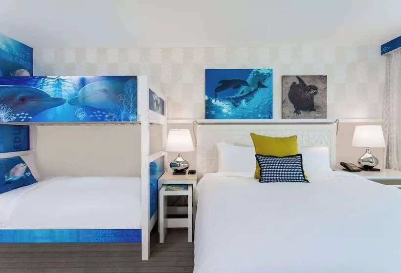 スタンダードルーム, Wyndham Grand Clearwater Beach