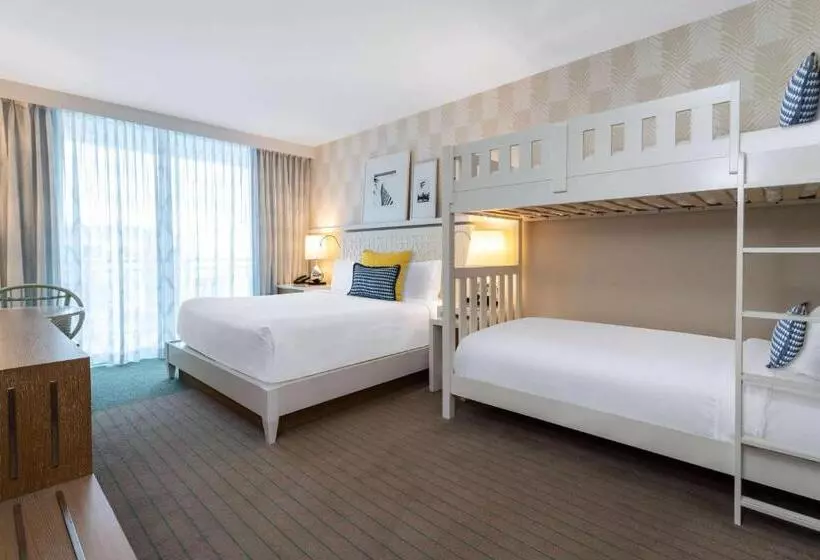 キングサイズベッドのデラックスルーム, Wyndham Grand Clearwater Beach
