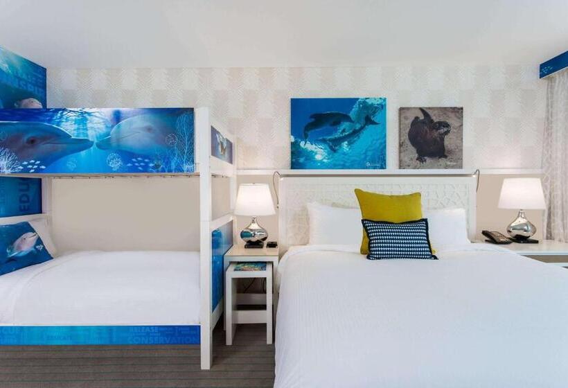 غرفة قياسية سرير بطابقين, Wyndham Grand Clearwater Beach