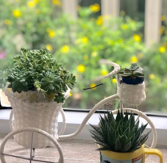 اتاق استاندارد سه تخته با چشمانداز باغ, Villa   Hotel Nam Khang 2 Dalat