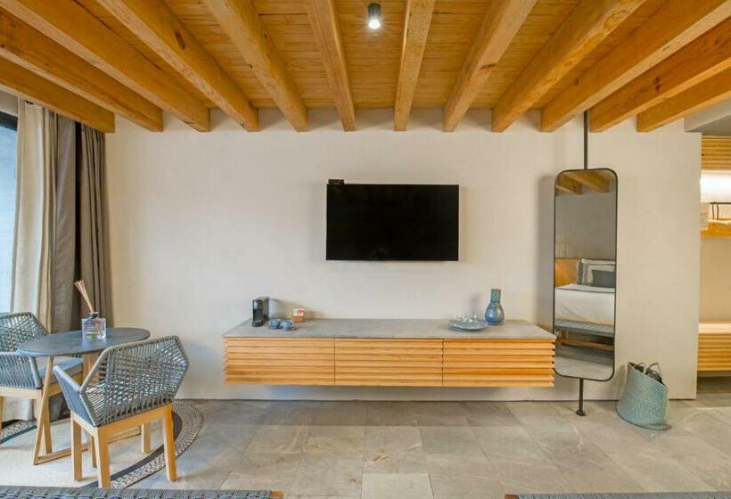 غرفة قياسية مطلّة علي حمام السباحة, El Lugar Del Que Te Hable Hotel Boutique