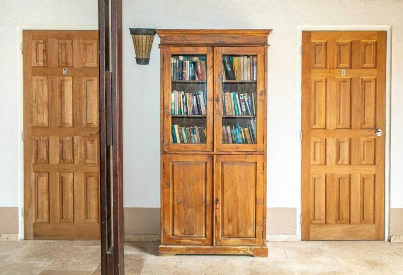 اتاق استاندارد, Bonaire 2 Stay Playa