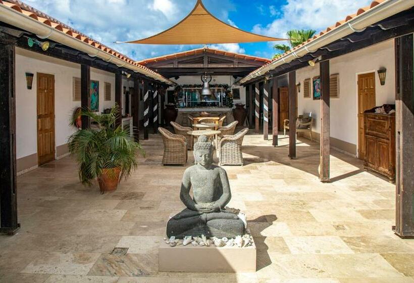 اتاق استاندارد, Bonaire 2 Stay Playa