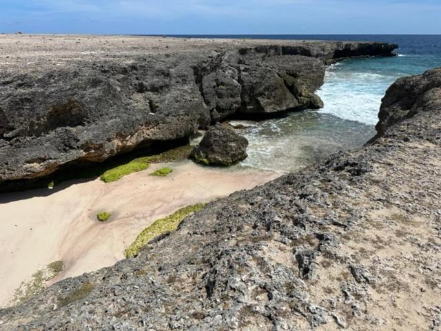 اتاق استاندارد, Bonaire 2 Stay Playa