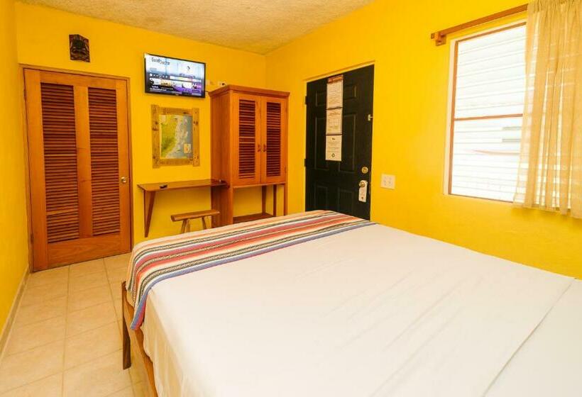 غرفة قياسية, Routes & Culture