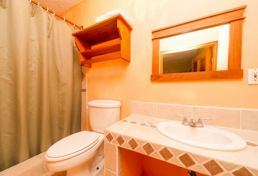 غرفة قياسية, Routes & Culture