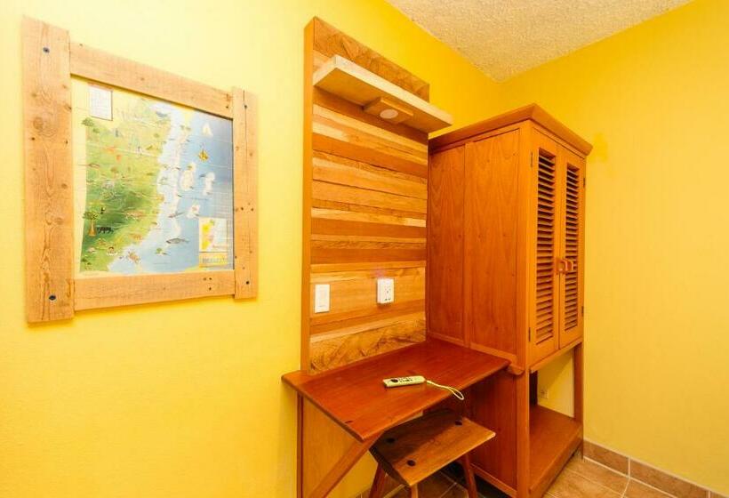 غرفة قياسية, Routes & Culture