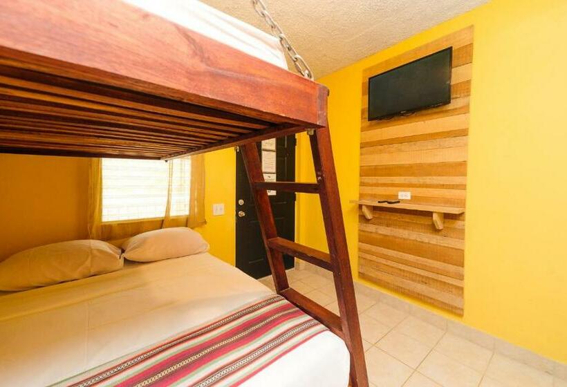 غرفة قياسية ثلاثية, Routes & Culture