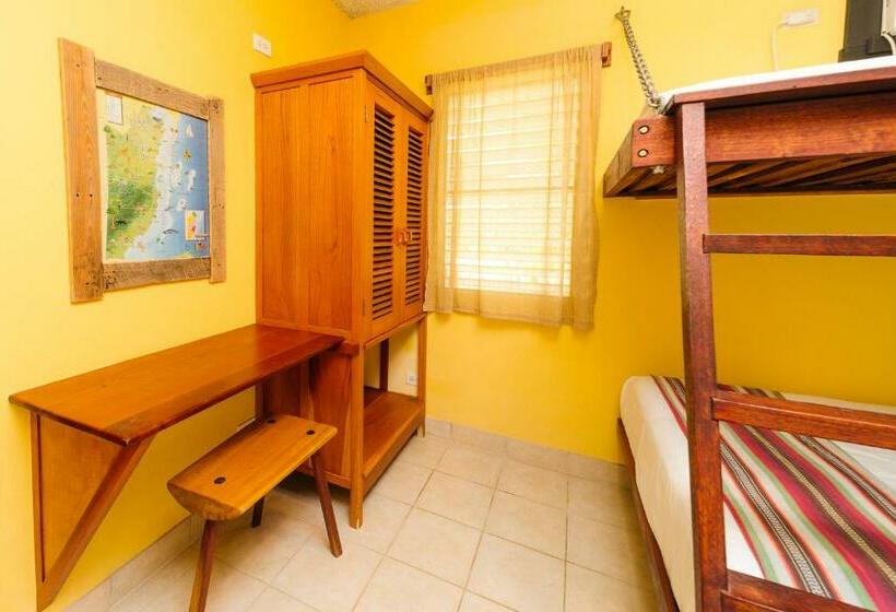 غرفة قياسية ثلاثية, Routes & Culture