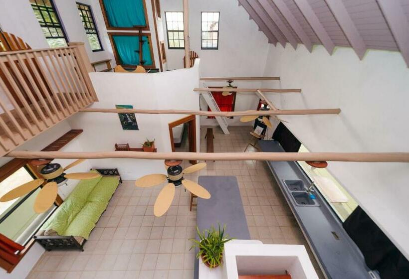 شقة غرفة واحدة, Routes & Culture