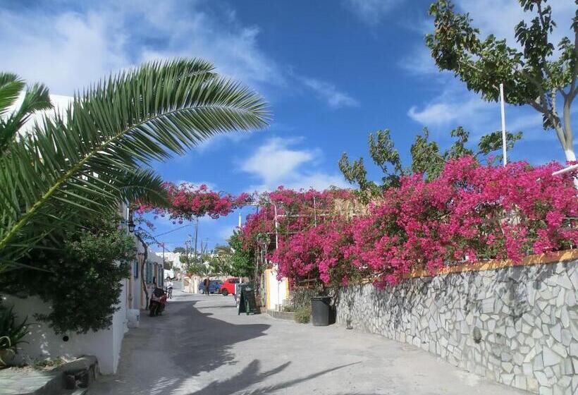 Standard Tent, Santorini Camping & Hostel