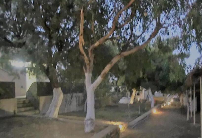 Standard Tent, Santorini Camping & Hostel