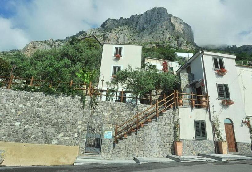 Номер Стандарт, World Center