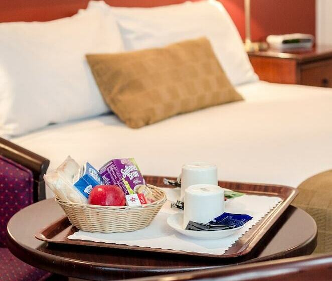 استودیوی پریمیوم, Central Studio Accommodation