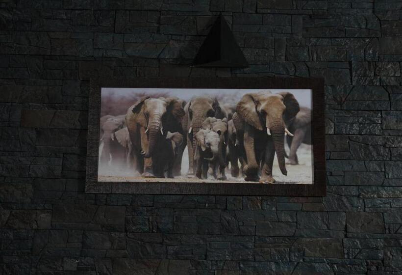 Suite, Ayaana Boutique