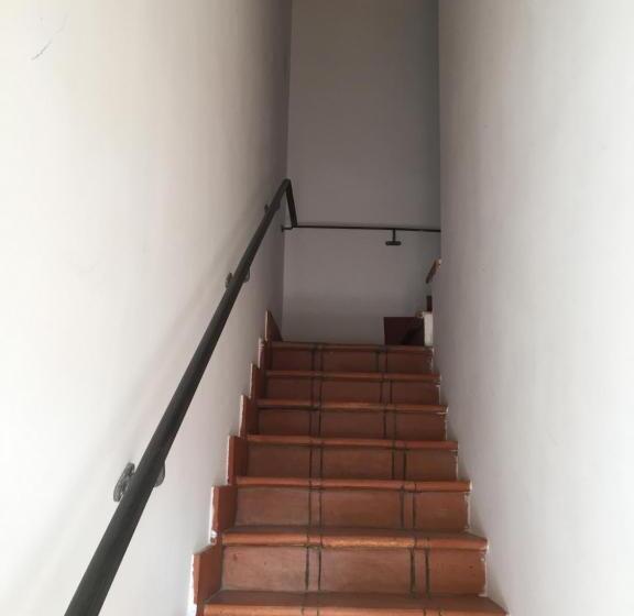 شقة غرفة واحدة مطلة على الحديقة, Azienda Agricola Sinisi