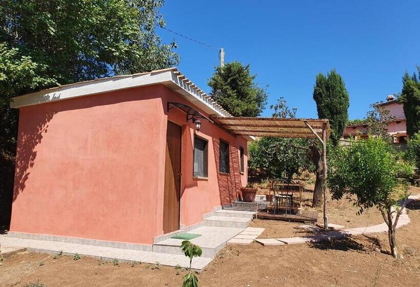 Апартаменты 1 Спальня, Azienda Agricola Sinisi