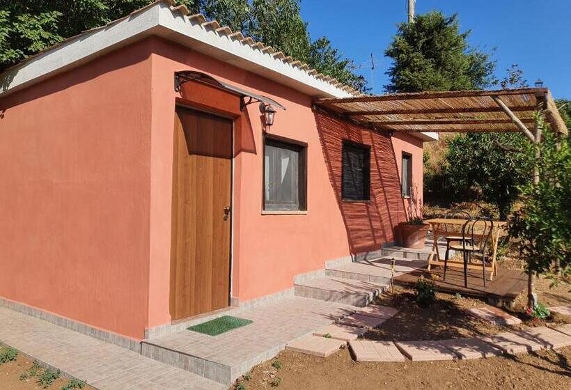 شقة غرفة واحدة, Azienda Agricola Sinisi