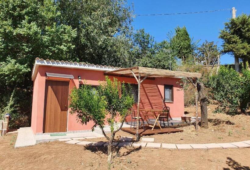 شقة غرفة واحدة, Azienda Agricola Sinisi