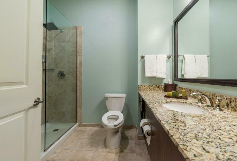 غرفة ديلوكس سرير كينج, Chateau Saint Denis A Historic Hotel Downtown Natchitoches