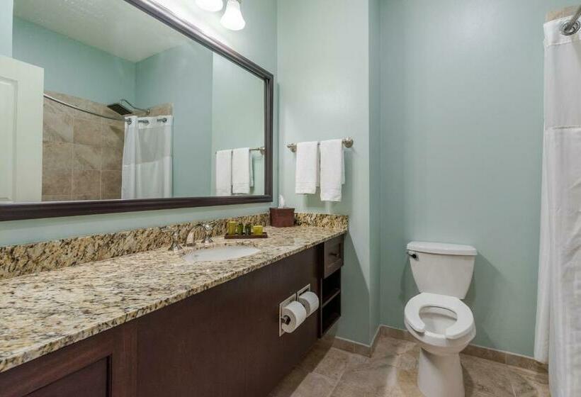 غرفة ديلوكس, Chateau Saint Denis A Historic Hotel Downtown Natchitoches