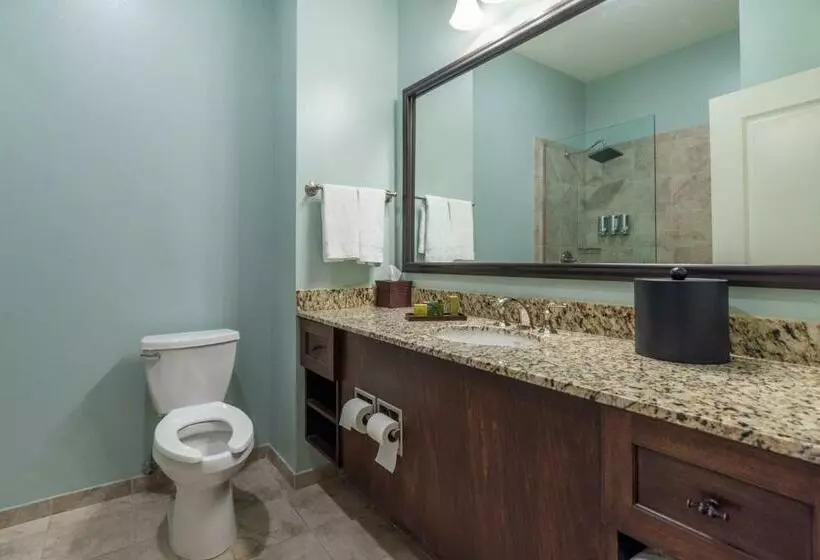 キングサイズベッドのデラックスルーム, Chateau Saint Denis A Historic Hotel Downtown Natchitoches