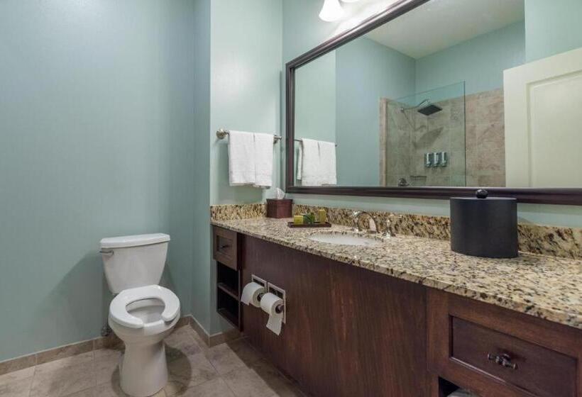 غرفة ديلوكس سرير كينج, Chateau Saint Denis A Historic Hotel Downtown Natchitoches