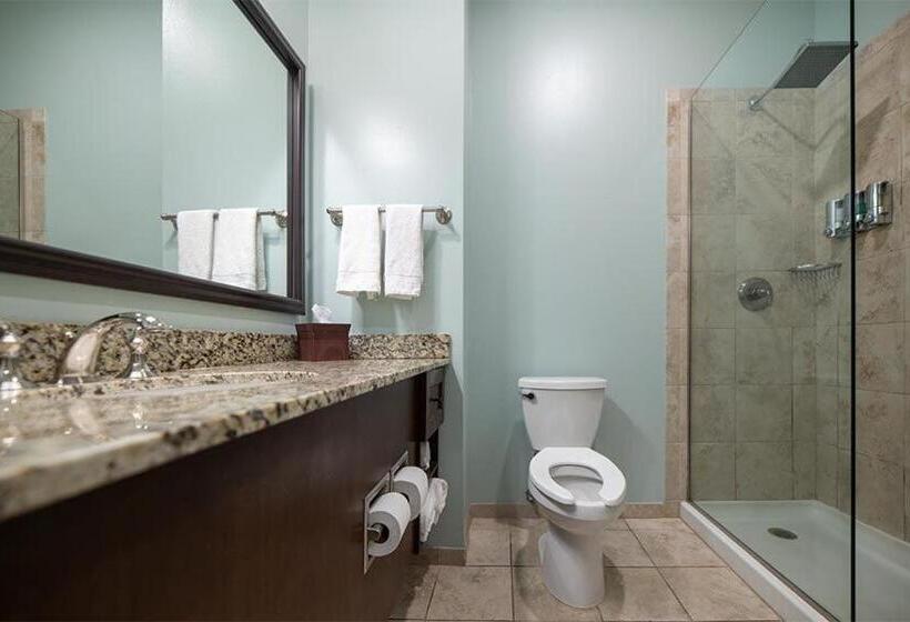 غرفة ديلوكس, Chateau Saint Denis A Historic Hotel Downtown Natchitoches