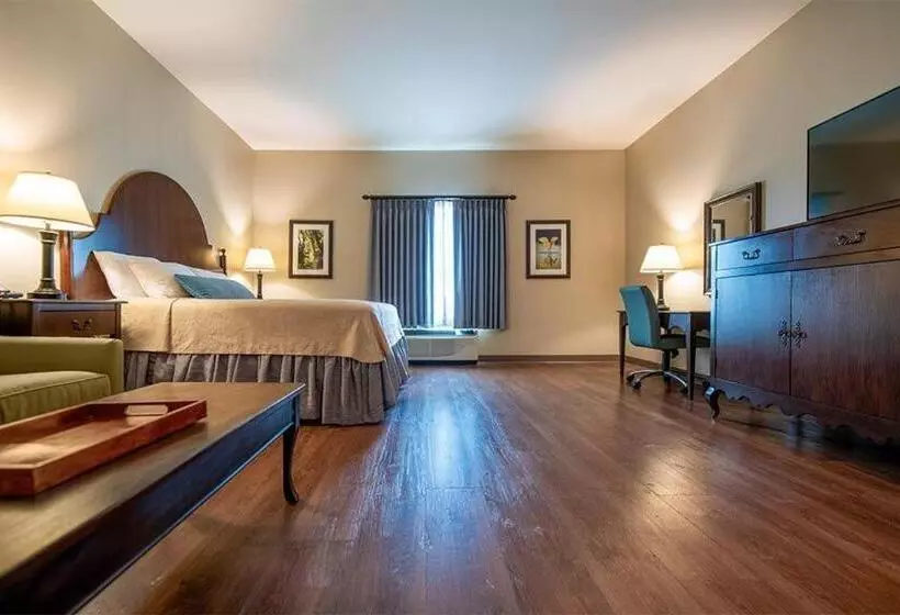 ジュニアスイート, Chateau Saint Denis A Historic Hotel Downtown Natchitoches
