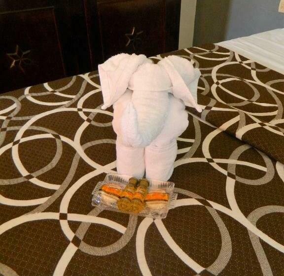 Полулюкс, Montejo