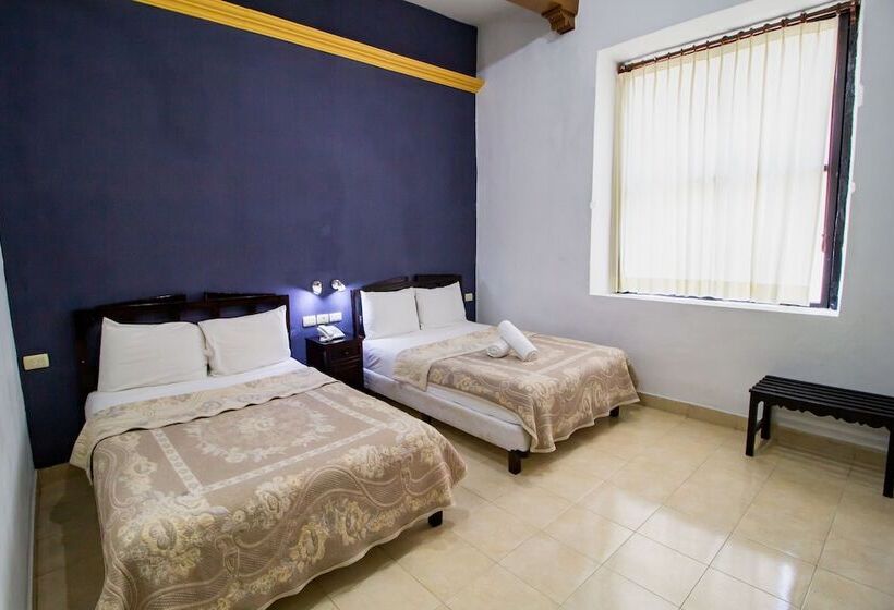 Полулюкс, Montejo