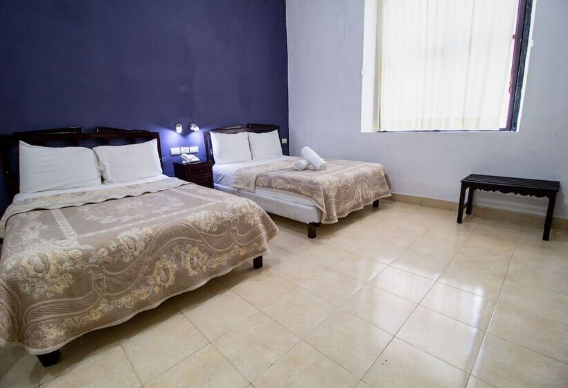 Полулюкс, Montejo