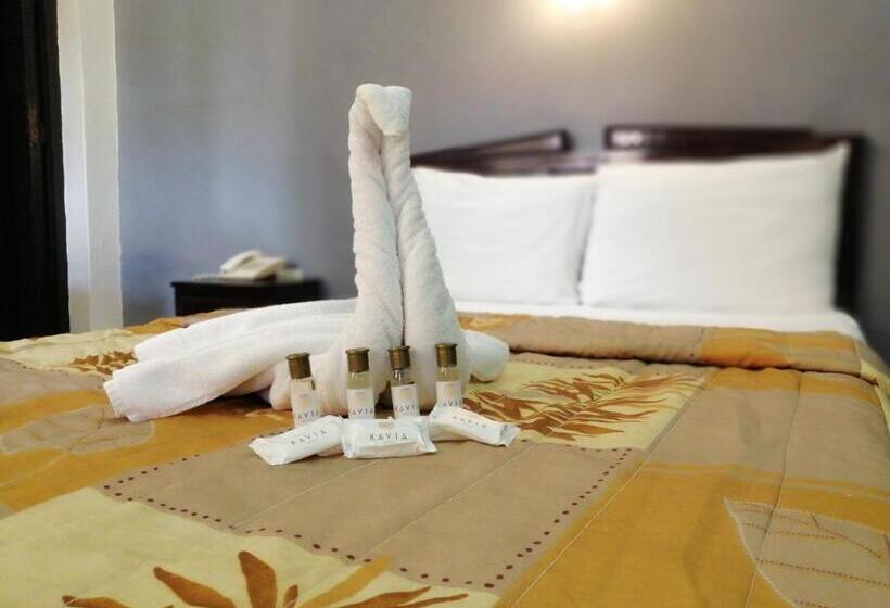 Номер Стандарт, Montejo