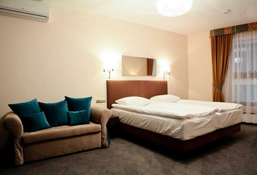 اتاق لوکس خانوادگی, Sokołowska Airport Modlin