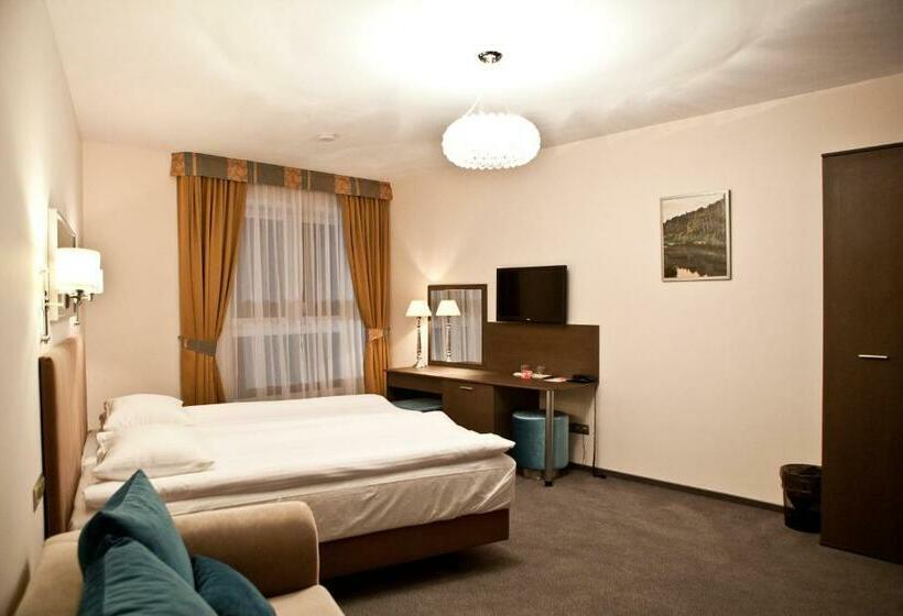 اتاق لوکس خانوادگی, Sokołowska Airport Modlin