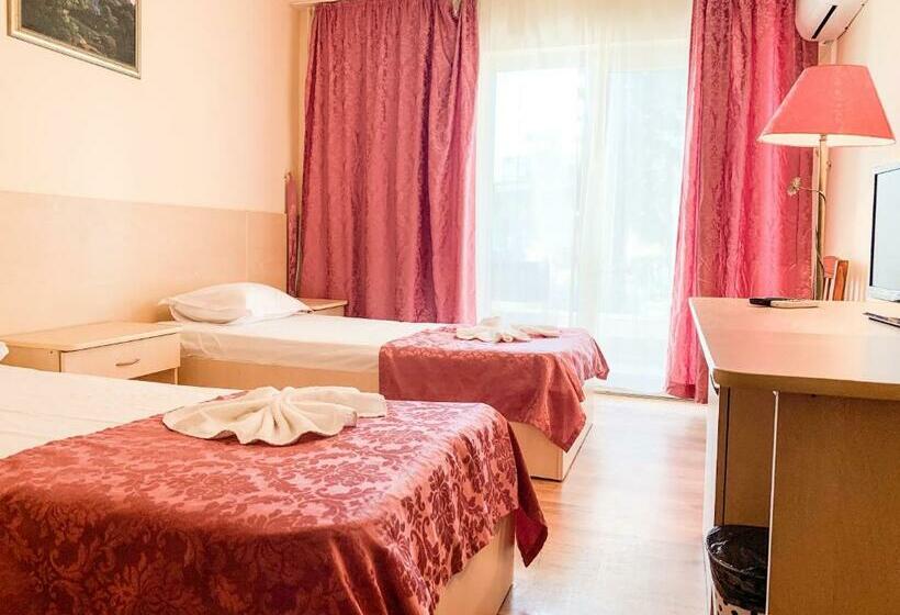 스탠다드 룸, Voila Mamaia