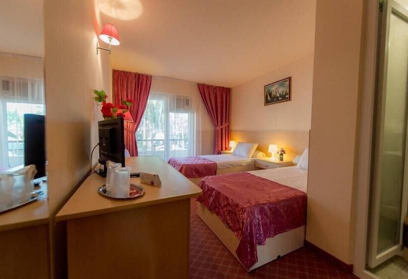 스탠다드 룸, Voila Mamaia